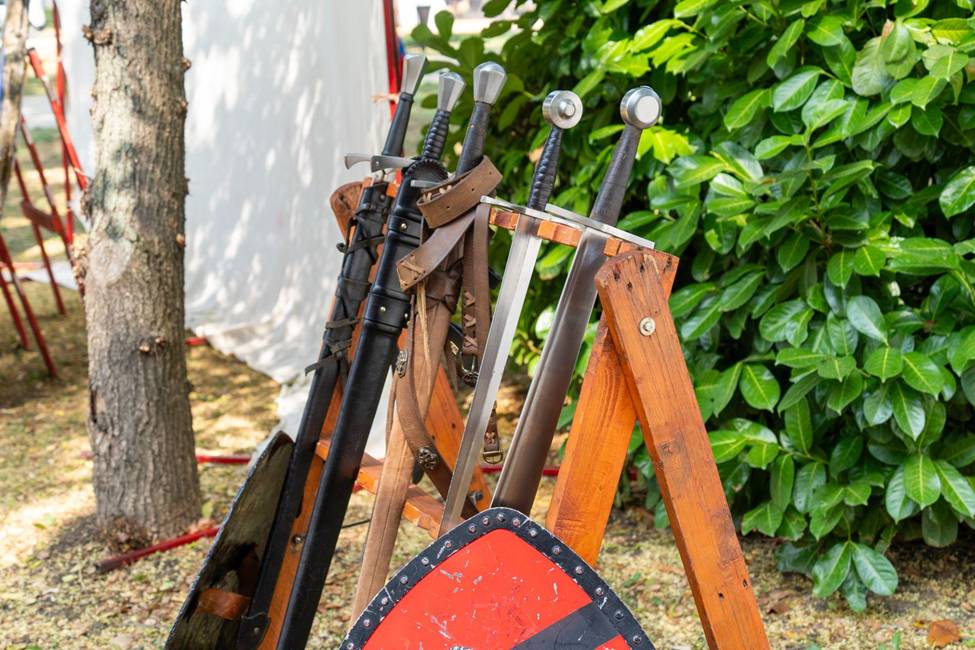 Western Sword Stances, Guards, and Techniques